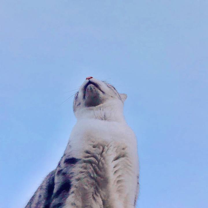 72b5f79e 5fe1 471f a622 81cc50b7dd43 1540212429401