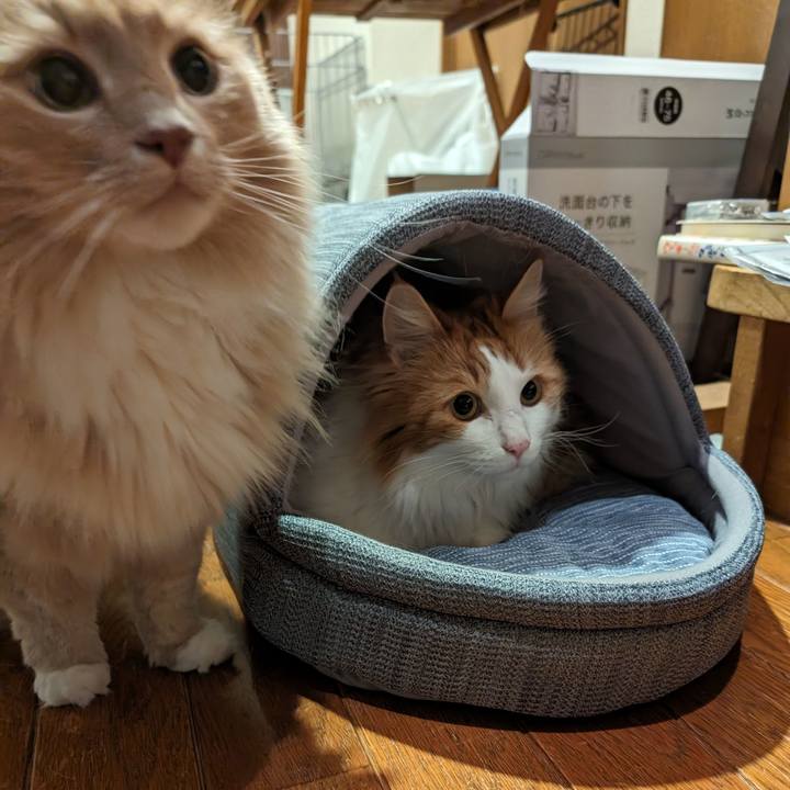 72b60511 7c95 4d50 901b 8cb35ed88821 1713612457135