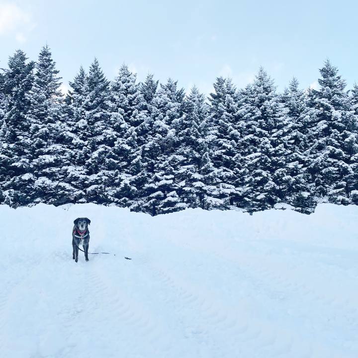 72b61532 a197 496e 90f5 41fba5e05467 1768376758518