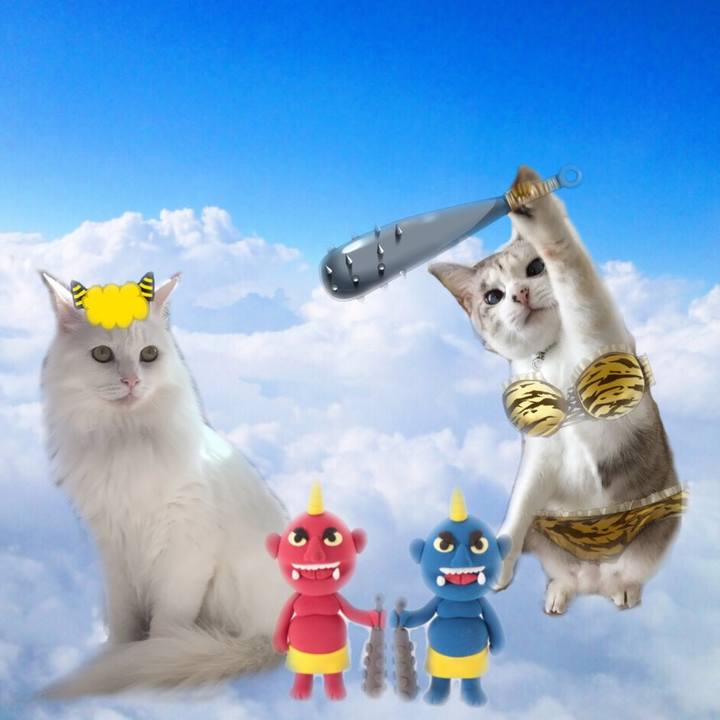 72b62709 bfbc 4fe1 9972 0427fcf01db3 1549108802643