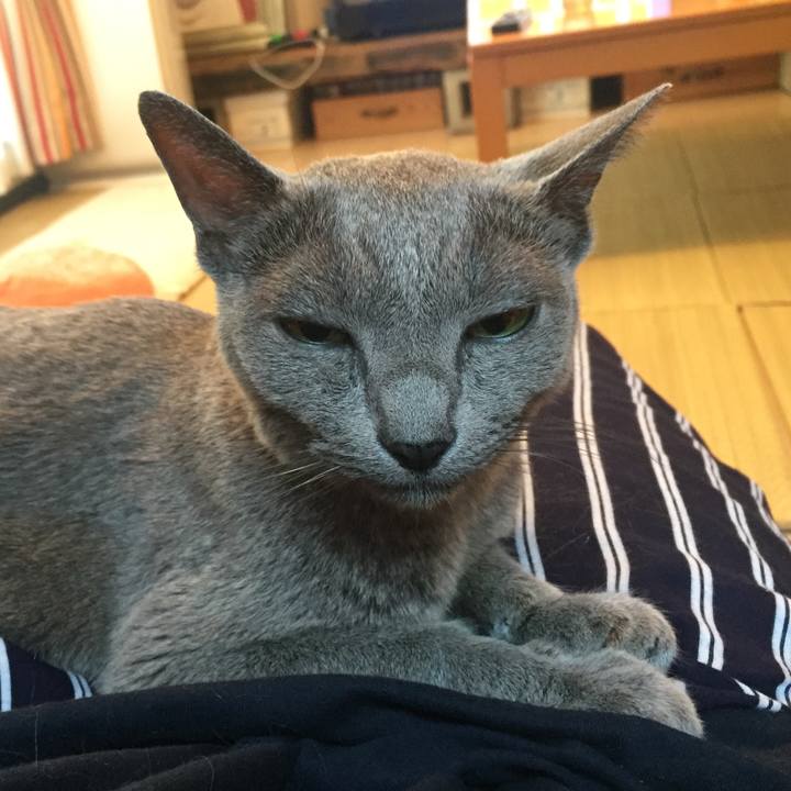 72b636bd dd7f 44d3 ba98 1bfaf5d735c1 1569886087360