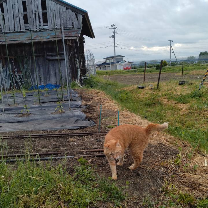 72b643aa e136 4df4 a075 91513e468dd0 1715847374550