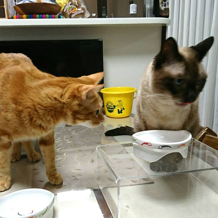 72b6816c fb05 46e1 9f75 7e79e42733e0 1537170649726