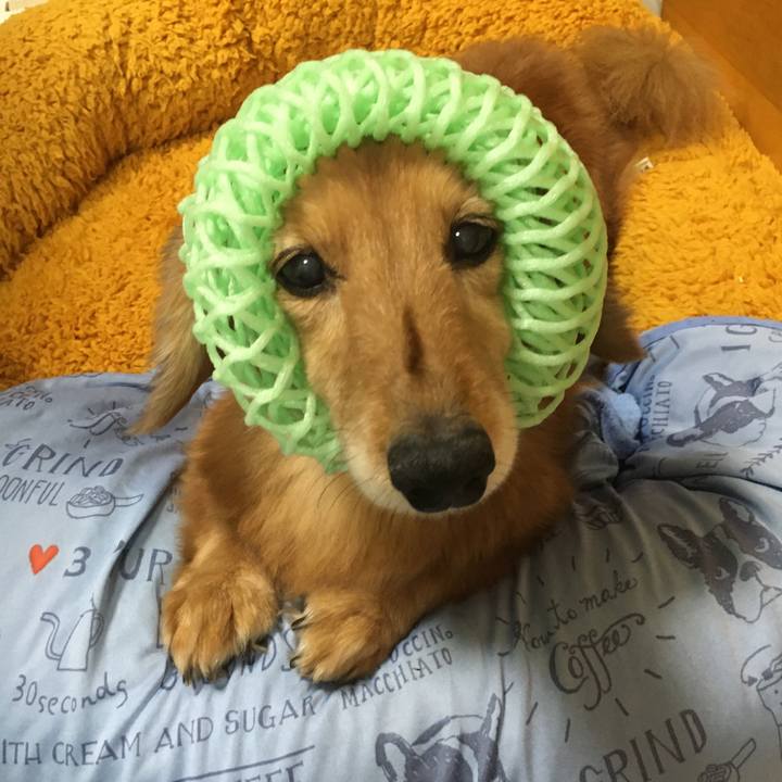 72b6ac84 0111 4ea2 ab85 e18a4a97ee98 1628250366793