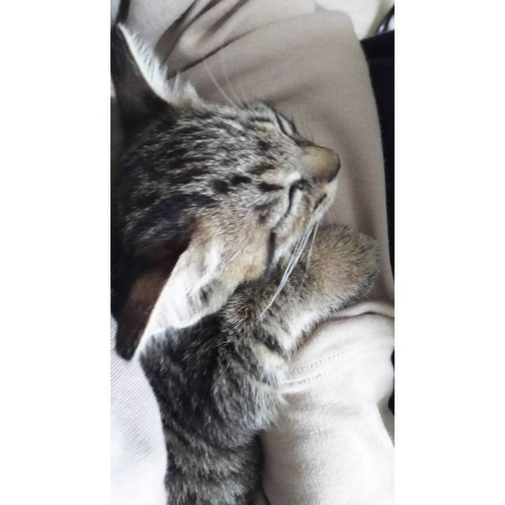 72b6cfb6 0175 46c4 ab31 0afa3167c856 1534044570940