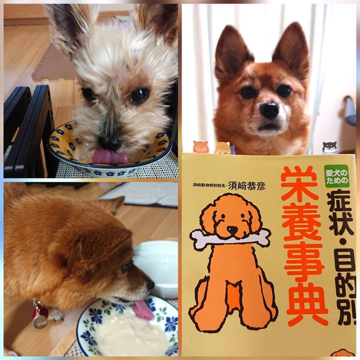 72b72464 fb24 405a ba8c c366e24416b1 1630758187151