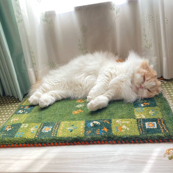 72b73e5b a527 4a1c a28d ea2bc469c2fd 1611580343996