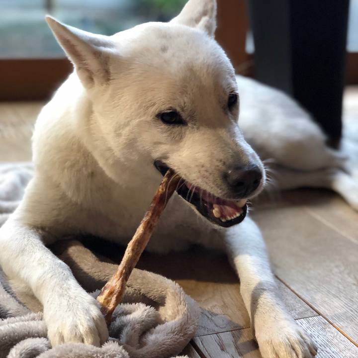 72b76be0 b4c5 484c 8dc5 7353a40236e3 1546127821737