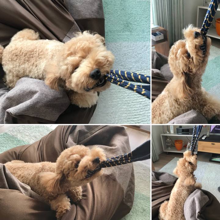 72b79625 fd3a 4bde 8565 6b399ed6b061 1530327440625