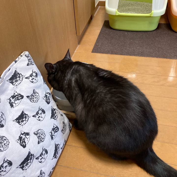 72b7be64 8f49 4ecb bb33 d8bc51e1489e 1713245505471