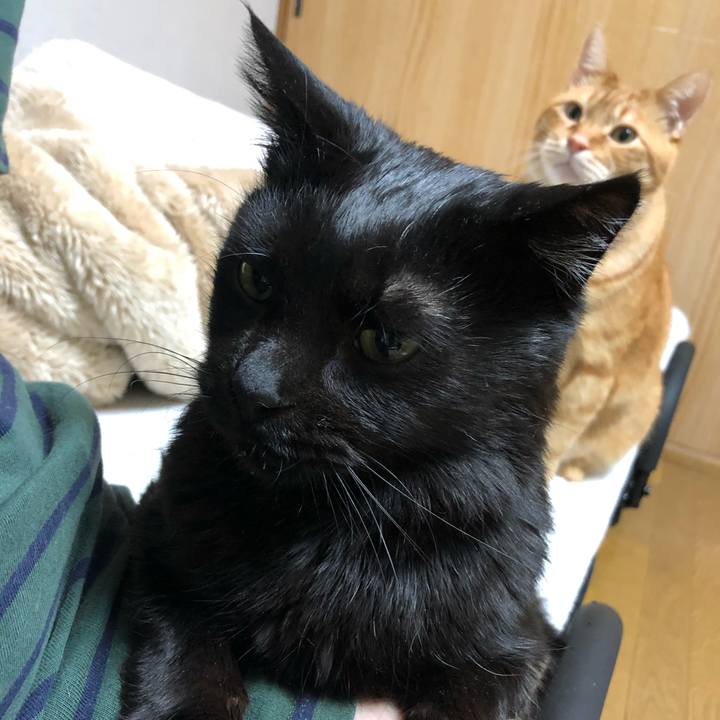 72b7cb50 c6ca 4cd5 9181 92d970ec7673 1613572283792