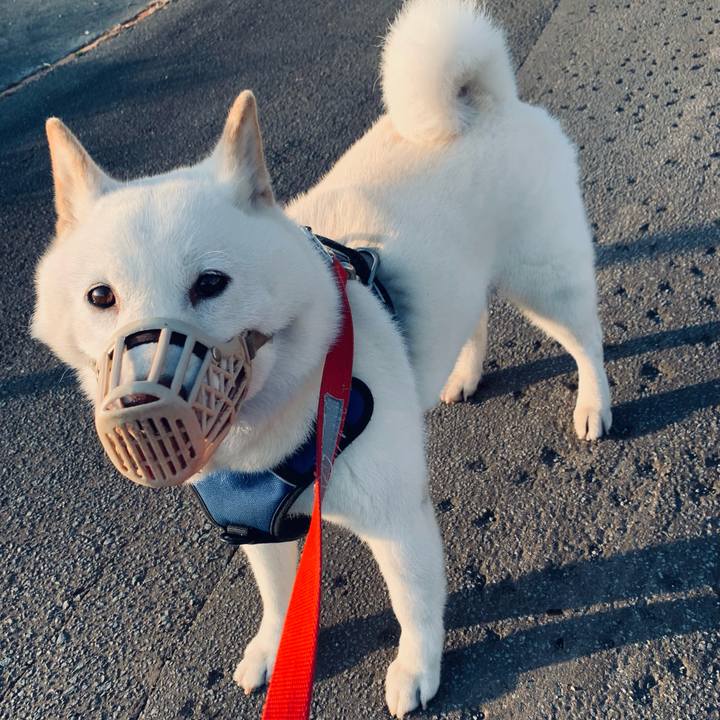 72b81eb6 e19c 47b8 9a27 ed3331f85fd0 1627159378201