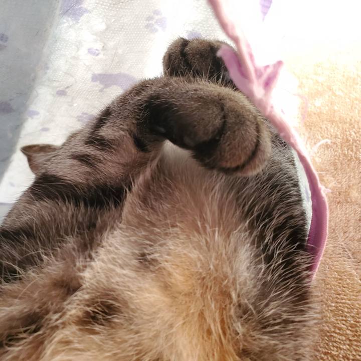 72b87c6d 04c5 4aef 9238 0640ce03254b 1711625631188