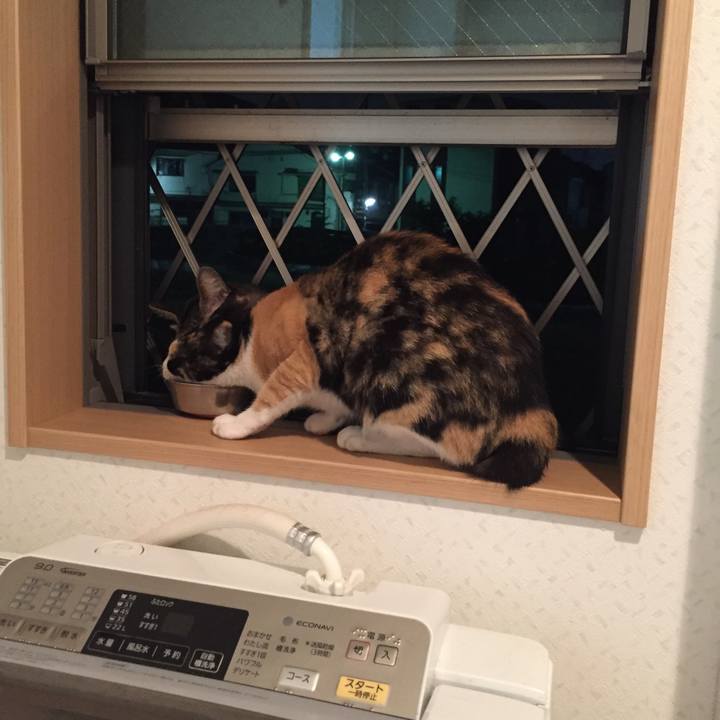 72b8d50a cadd 44aa 8cc8 8fa7dfae5176 1536500576150