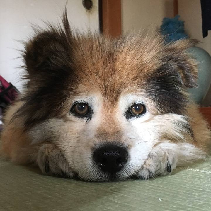 72b8e4db 4732 4390 8164 d265e55a90b8 1563020861865