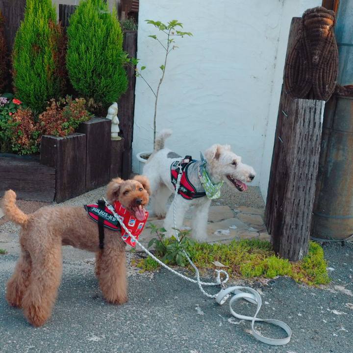 72b91bef fe95 461a 95f8 9e3bb6c27f46 1566173356509