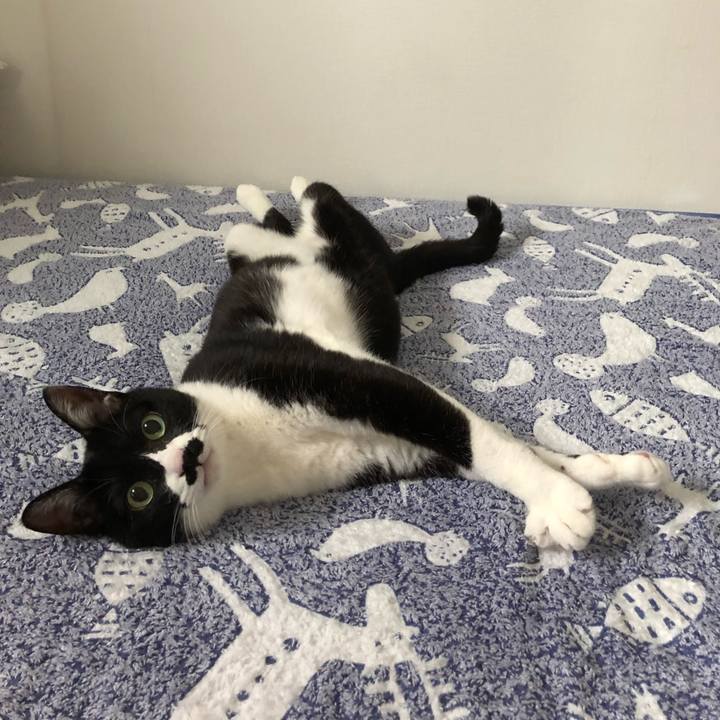 72b929a0 1d3b 40df 9896 27edddcb8c88 1526216051654