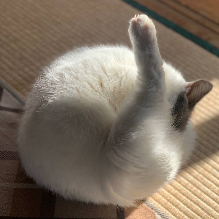 72b9ba12 5df8 4fc7 aed3 fddacf7a3743 1736901020581