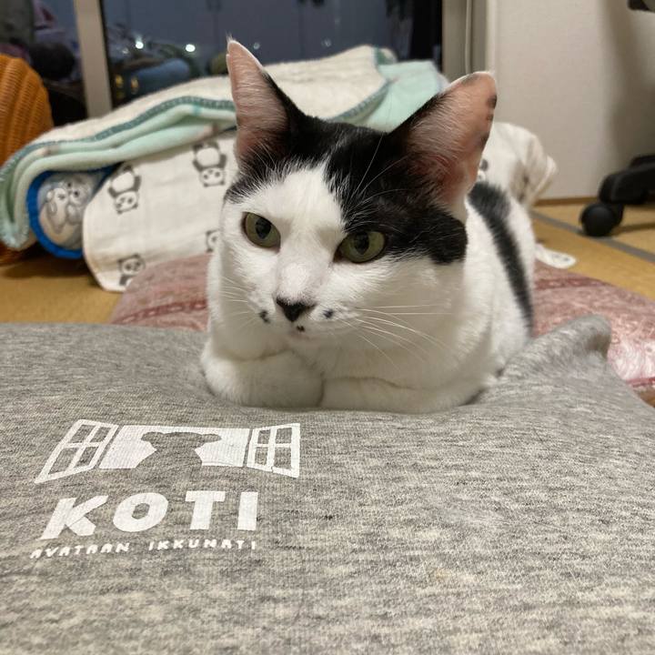 72b9fe60 de2c 413f 8033 63c77c6b7180 1758719549159