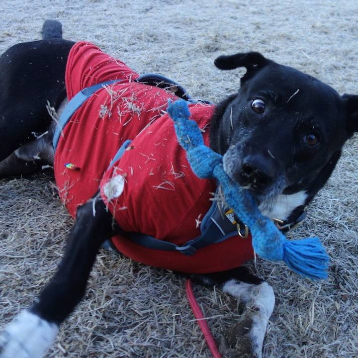 72ba0f00 2f04 445b 9b9b 87dd2f360823 1703898862458