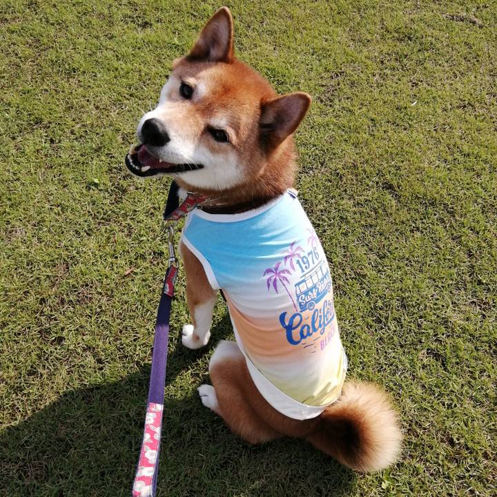 72baa57b 835c 4bc2 9bf5 cf301b141f05 1595402525170