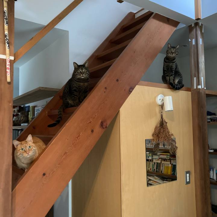 72babdc8 9c0b 4677 90c8 619cf8219b85 1712452019676