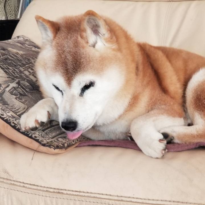 72bac88b d8a6 40ba ae2b e527fb777ef1 1741134418404