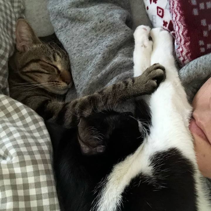 72bad800 ec1f 4fc2 b47b 0e500bcf77d7 1554495287260