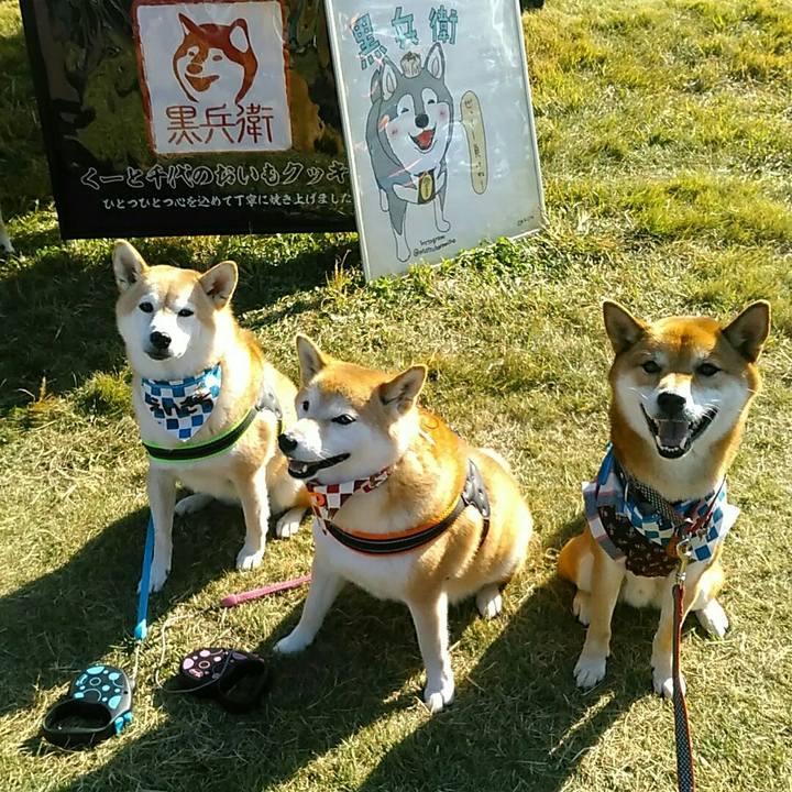 72bafab1 4284 4a11 af05 c86661e0953f 1573910578534