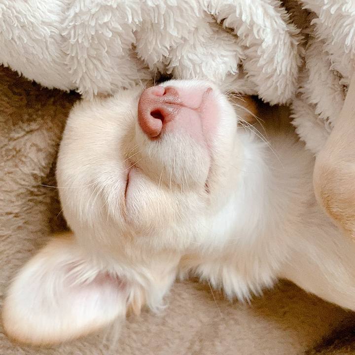 72bb0382 3e1a 473a 8e0e ce225de3a8c9 1597008524679