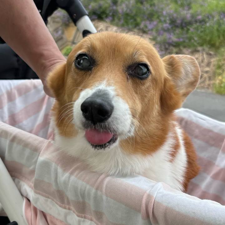 72bb0af2 e7a6 4970 8efd d039da80737b 1745806810857