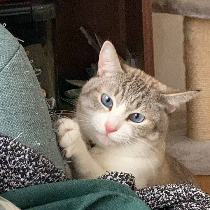 72bb3877 9294 4dae a163 cbdc5bc404f6 1609673979488