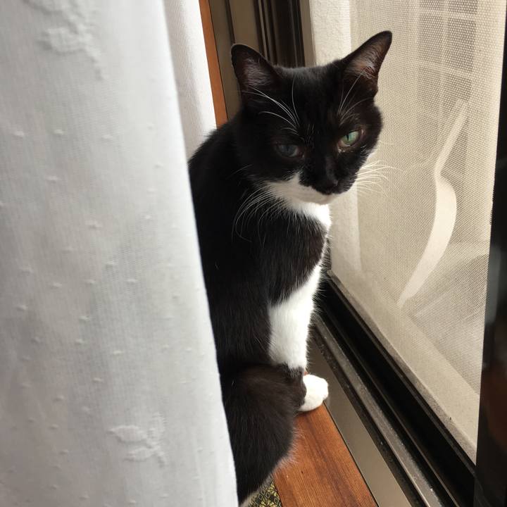 72bb3b8b 9549 41d9 9845 1eda9cf11792 1531281465795