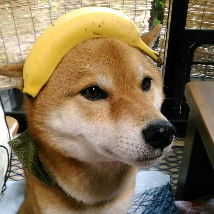 72bb4950 40be 4963 b4c2 6272fe647d17 1525825163441