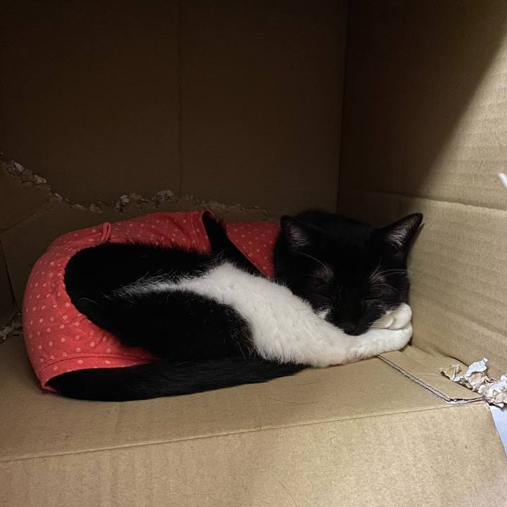 72bb8418 990c 440b ae73 4fe6496f27e6 1597893640078