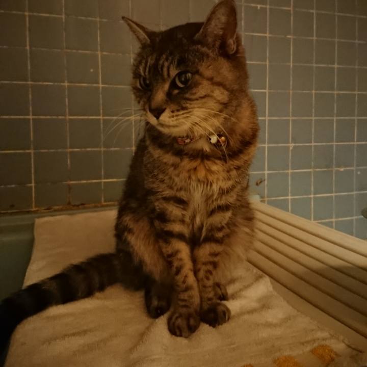 72bbcf15 1c1c 40cd af93 2045a2ff3587 1579424593708