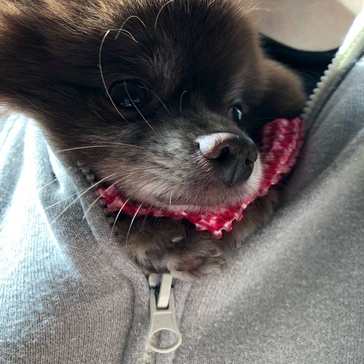 72bc00f1 624a 4b42 ab24 1c9b693a7956 1552525563362