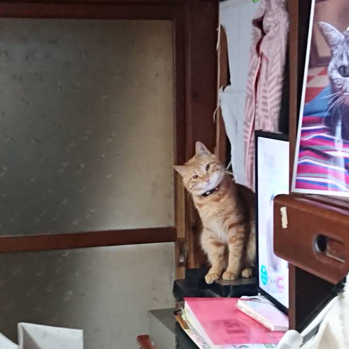 72bc1cec 0287 46f7 b2e5 925b29134ff3 1644109584885