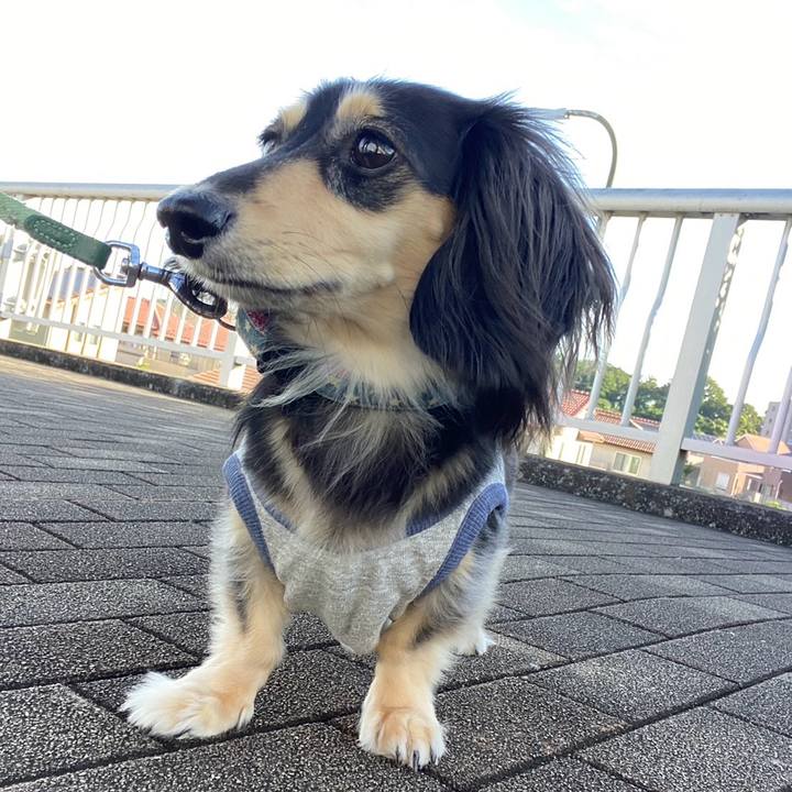 72bc21bf a58d 48a8 b730 f79c515516c4 1752905011292