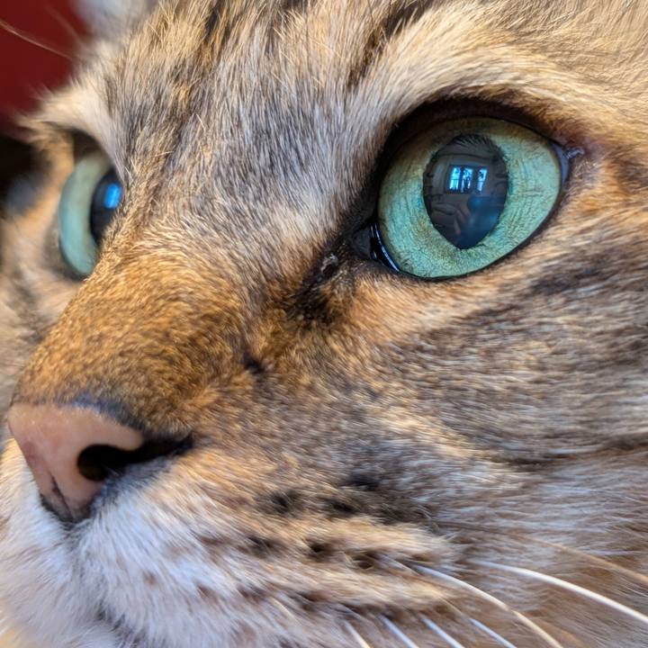 72bc2d5b 75ad 4792 a7b3 8d97cd1d2dc8 1774047533300