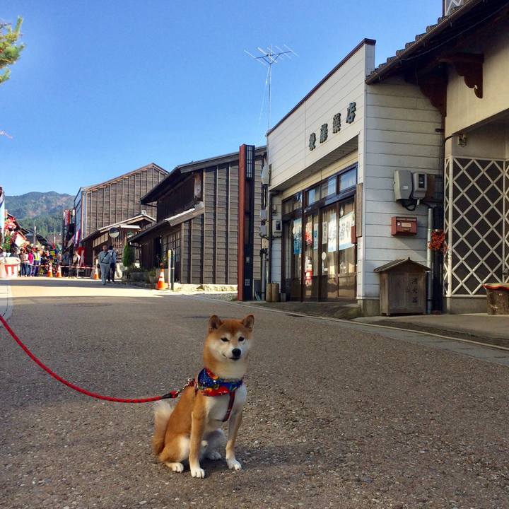 72bc2f38 959f 4d4e b951 5a21720fd9d2 1510217325092