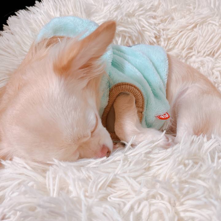 72bc3956 48b0 4d1a ac2c 2a1801f49a06 1668495040287