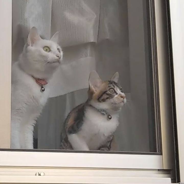 72bc4ea2 5cae 4530 bb43 5d5746a59b76 1629757151715