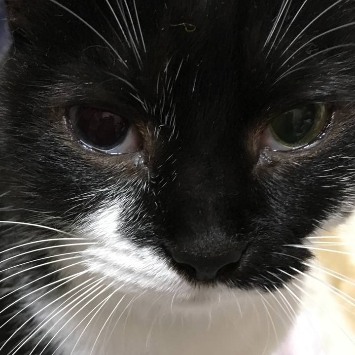 72bc5a10 e723 4ae3 bcbb 4703db7f8da1 1543062030339