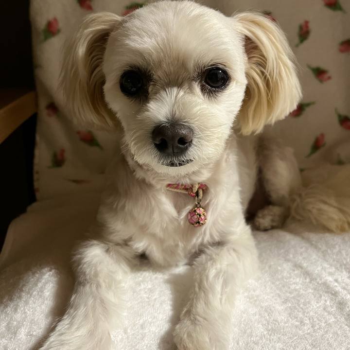 72bc6e73 7e72 4f72 97b4 e3173b596738 1666011331457