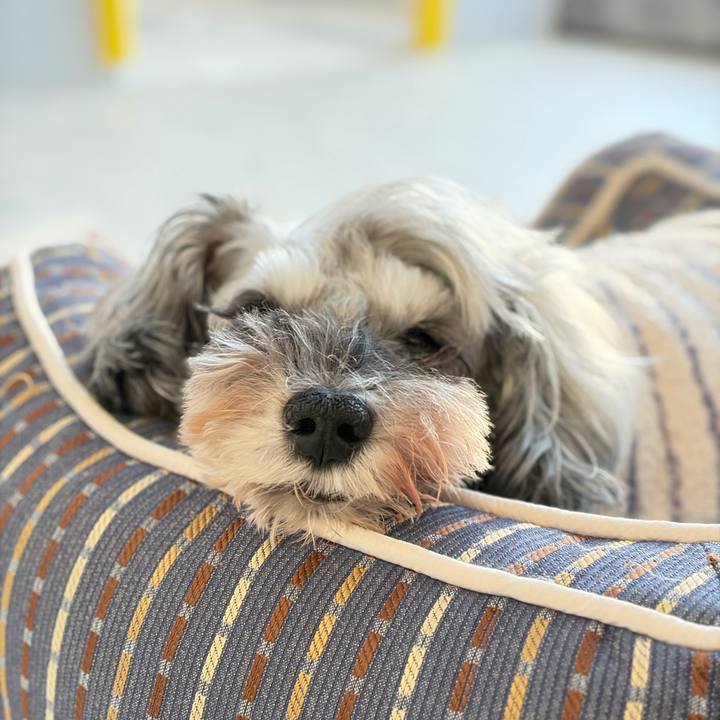 72bc7c4a d515 4afa 8a4c 4091063ac1d6 1764745839489