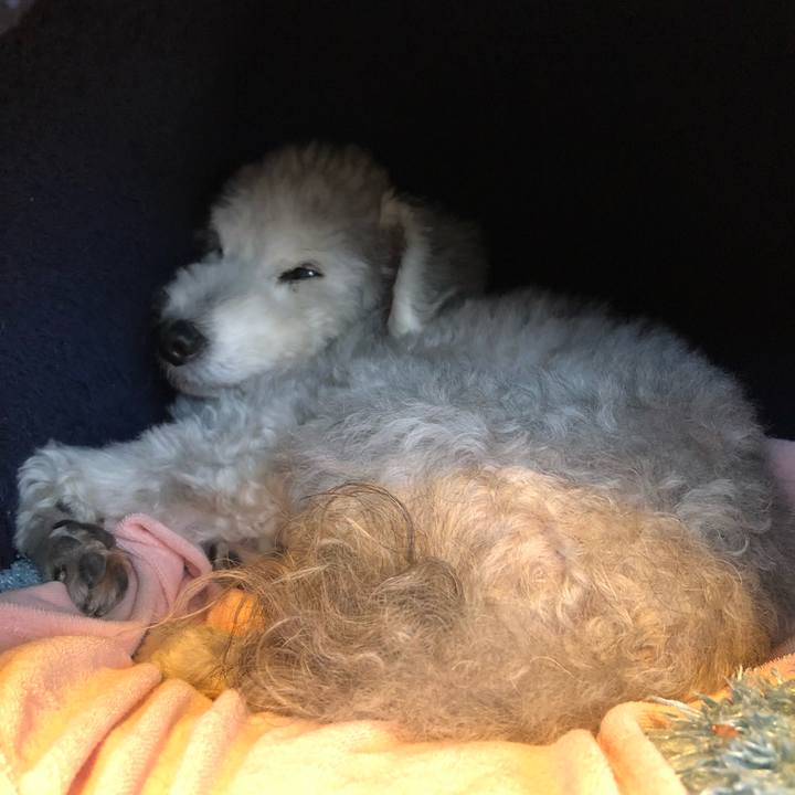 72bc866b c115 46e2 a568 0bae2f4bb29f 1640131228961