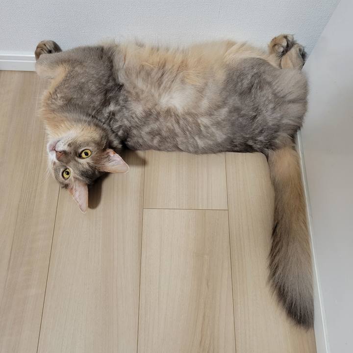 72bcacec 676e 4411 933d 8b208fa752db 1662804601965