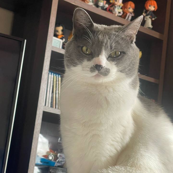 72bcbe7a 0c82 49b5 adb9 82f5c1140f93 1703391344465