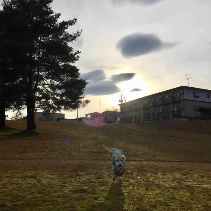 72bce743 5592 41d4 9d86 0917c15891ea 1544943638615